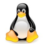 Linus Torvalds annuncia Linux Kernel 3.9 RC4