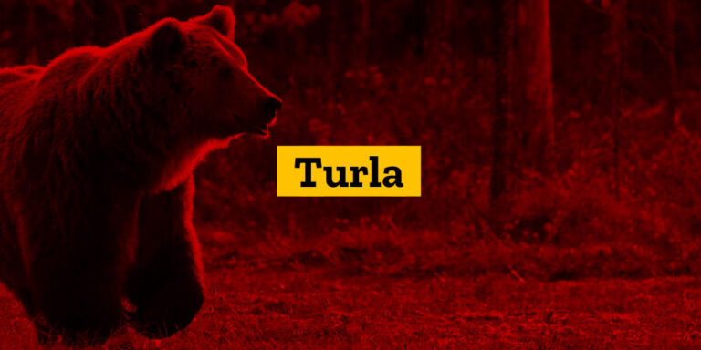 Il gruppo di hacker Turla ruba i log degli antivirus per vedere se il malware è stato rilevato