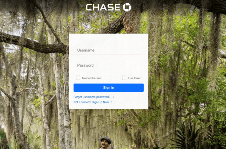 Attività dannosa da dominio italiano contro JP Morgan Chase Bank