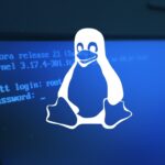 Come ripristinare i file da Linux.Encoder.3