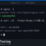 Ottimizzare TLS e HTTPS su Nginx: ridurre TTFB e latenza