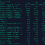 Swap attivo con RAM libera? Ecco come scoprire il processo colpevole con smem su Linux
