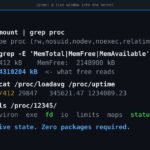 Il filesystem /proc su Linux: la guida completa per il troubleshooting da sistemista