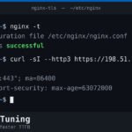 Nginx e TLS: come ridurre TTFB e latenza con le impostazioni giuste